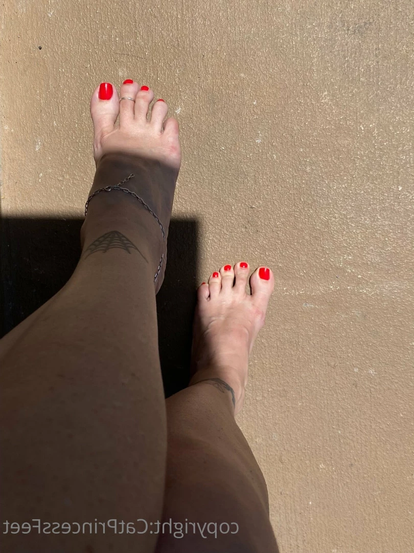 CatPrincess [ catprincessfeet ] Onlyfans leaked photo 7587543 on Hotleaks.tv