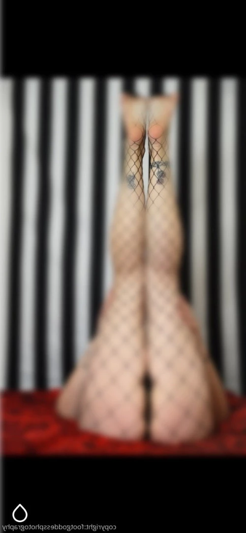 CatPrincess [ catprincessfeet ] Onlyfans leaked photo 7588083 on Hotleaks.tv