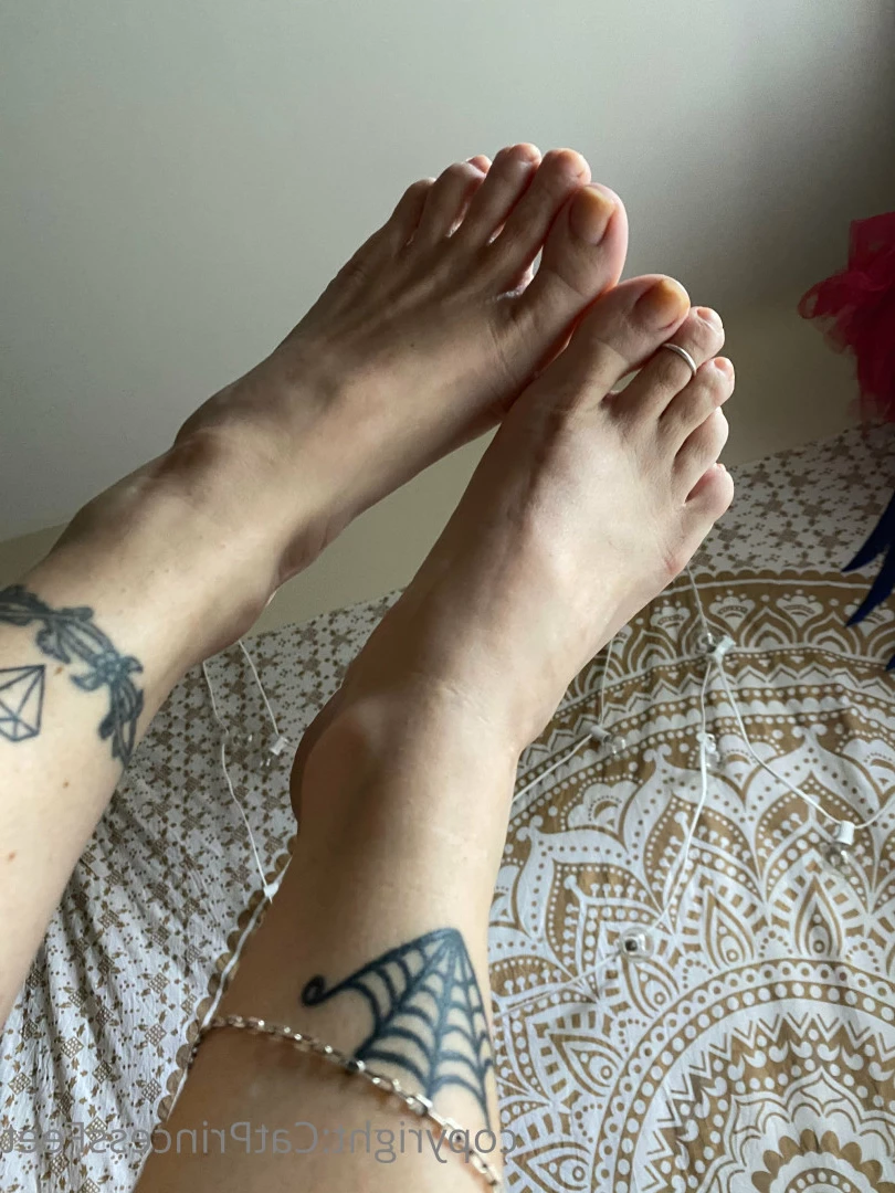 CatPrincess [ catprincessfeet ] Onlyfans leaked photo 7588560 on Hotleaks.tv