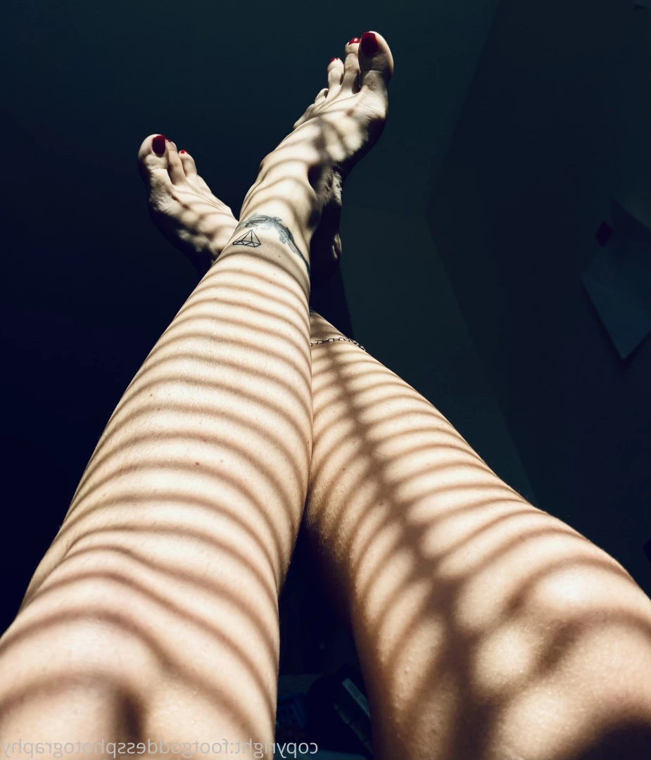CatPrincess [ catprincessfeet ] Onlyfans leaked photo 7588572 on Hotleaks.tv