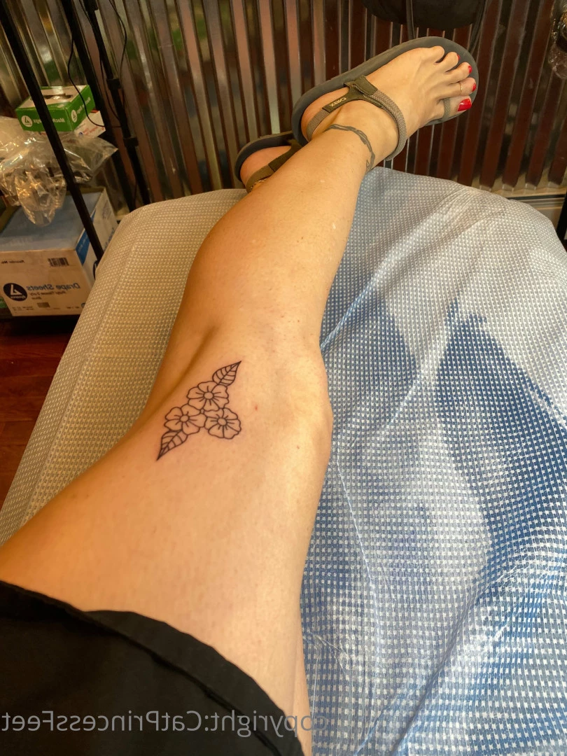 CatPrincess [ catprincessfeet ] Onlyfans leaked photo 7589467 on Hotleaks.tv