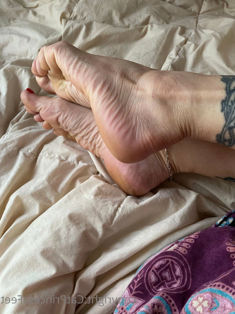 CatPrincess [ catprincessfeet ] Onlyfans leaked photo 7590414 on Hotleaks.tv