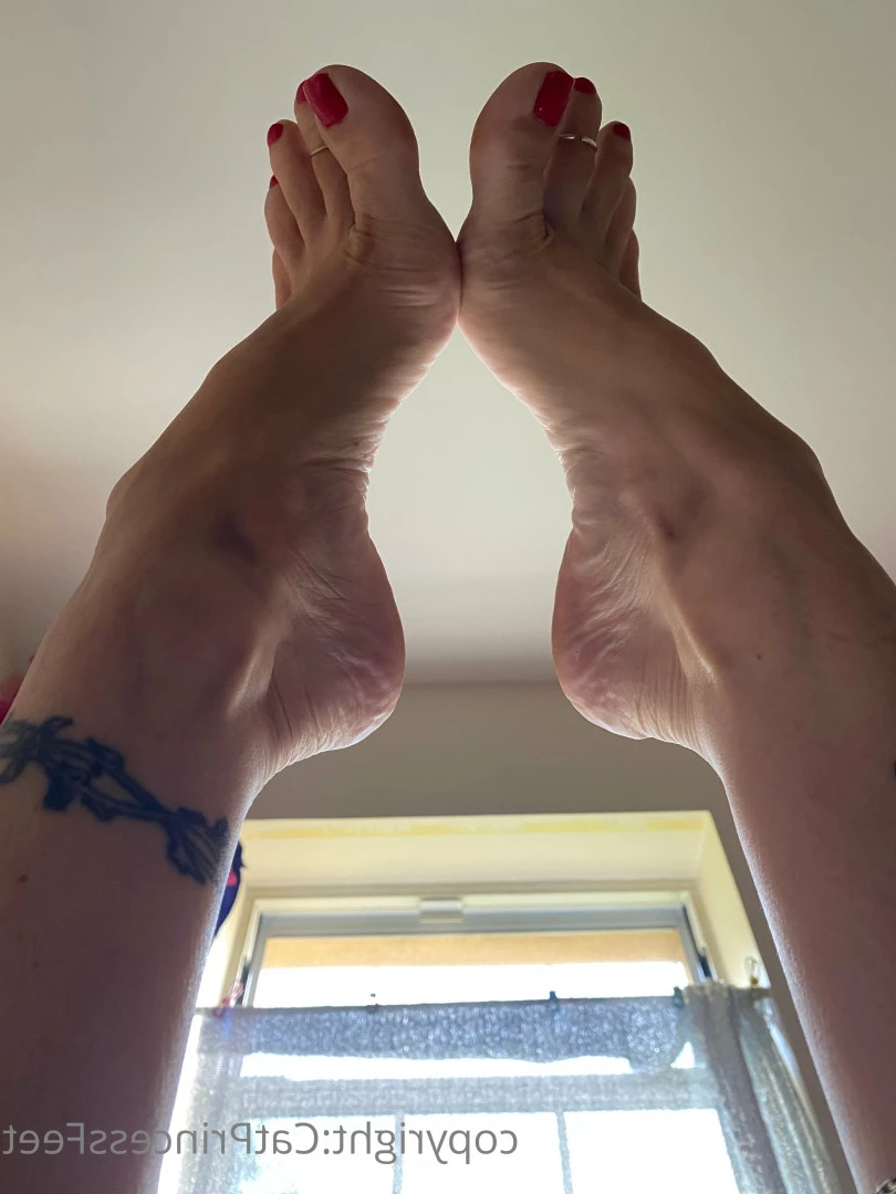 CatPrincess [ catprincessfeet ] Onlyfans leaked photo 7590467 on Hotleaks.tv