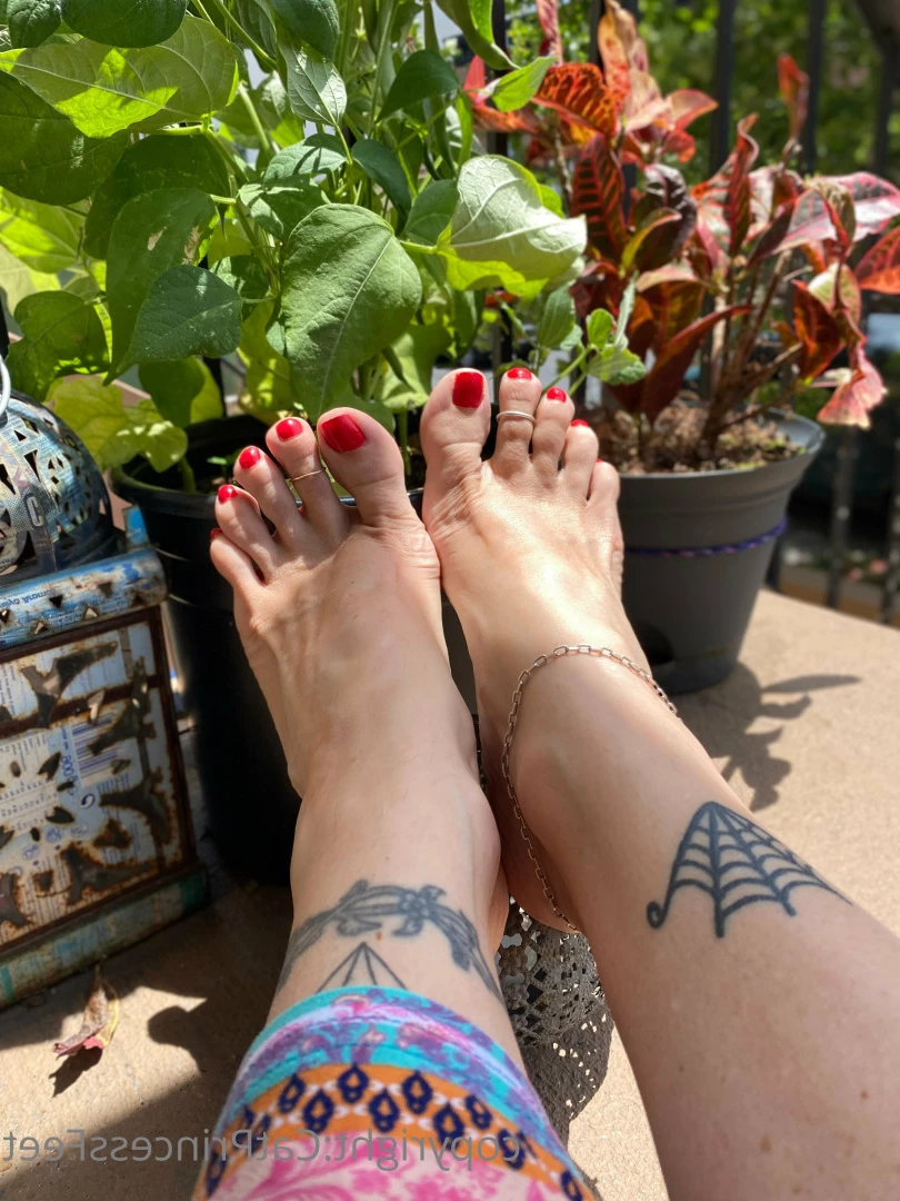 CatPrincess [ catprincessfeet ] Onlyfans leaked photo 7590726 on Hotleaks.tv