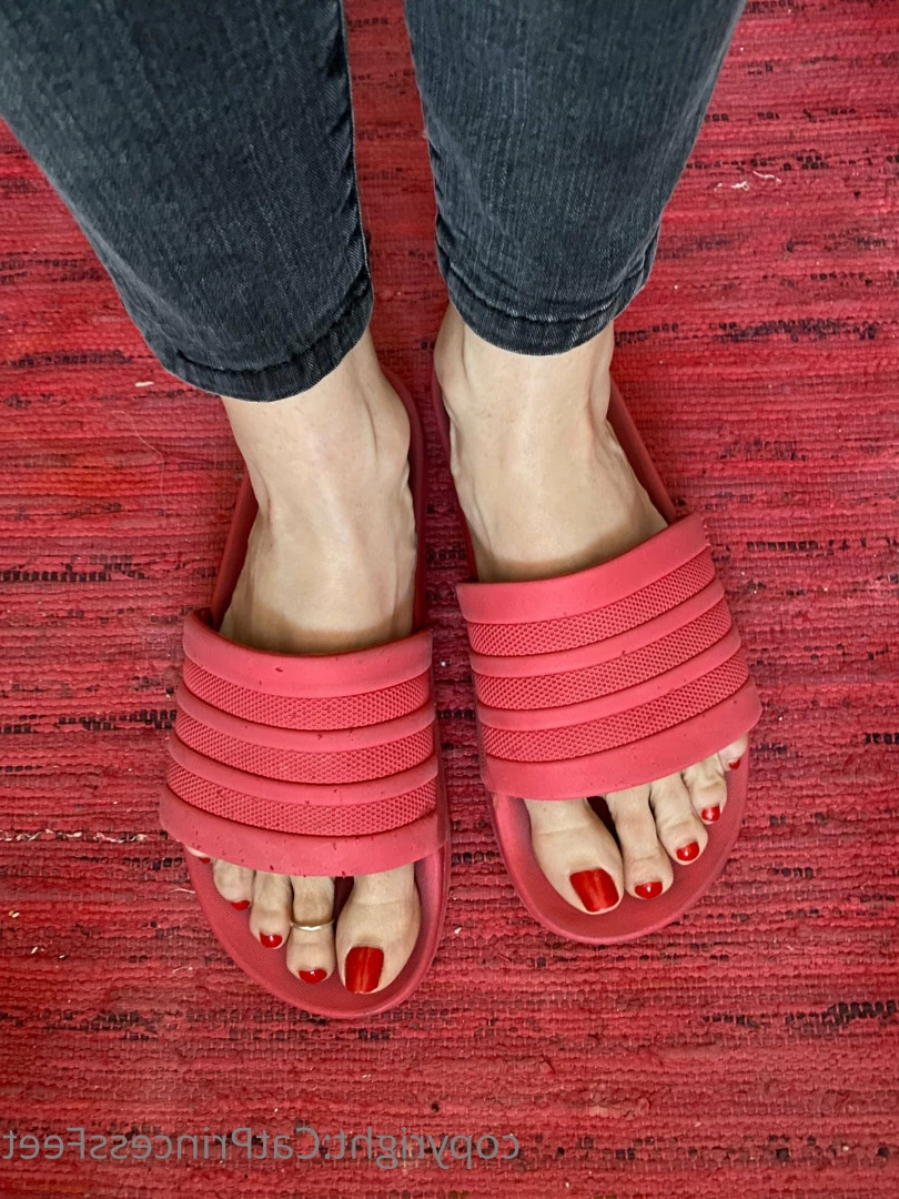 CatPrincess [ catprincessfeet ] Onlyfans leaked photo 7591365 on Hotleaks.tv