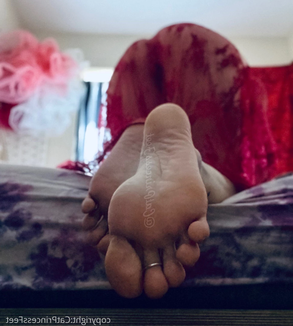 CatPrincess [ catprincessfeet ] Onlyfans leaked photo 7591906 on Hotleaks.tv