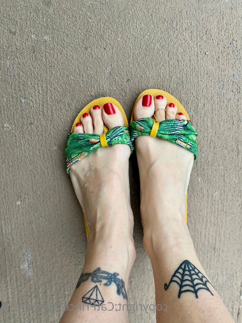 CatPrincess [ catprincessfeet ] Onlyfans leaked photo 7592136 on Hotleaks.tv