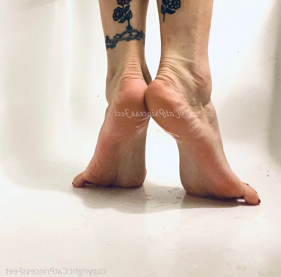 CatPrincess [ catprincessfeet ] Onlyfans leaked photo 7592175 on Hotleaks.tv