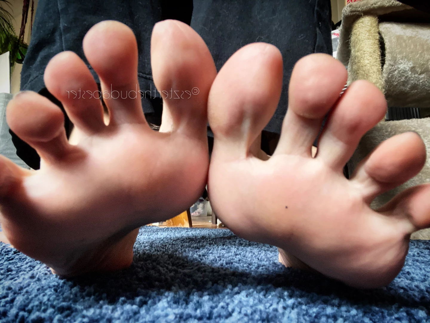 CatPrincess [ catprincessfeet ] Onlyfans leaked photo 7592204 on Hotleaks.tv
