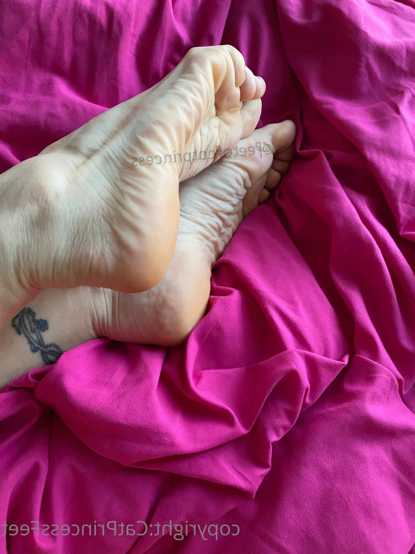 CatPrincess [ catprincessfeet ] Onlyfans leaked photo 7592546 on Hotleaks.tv