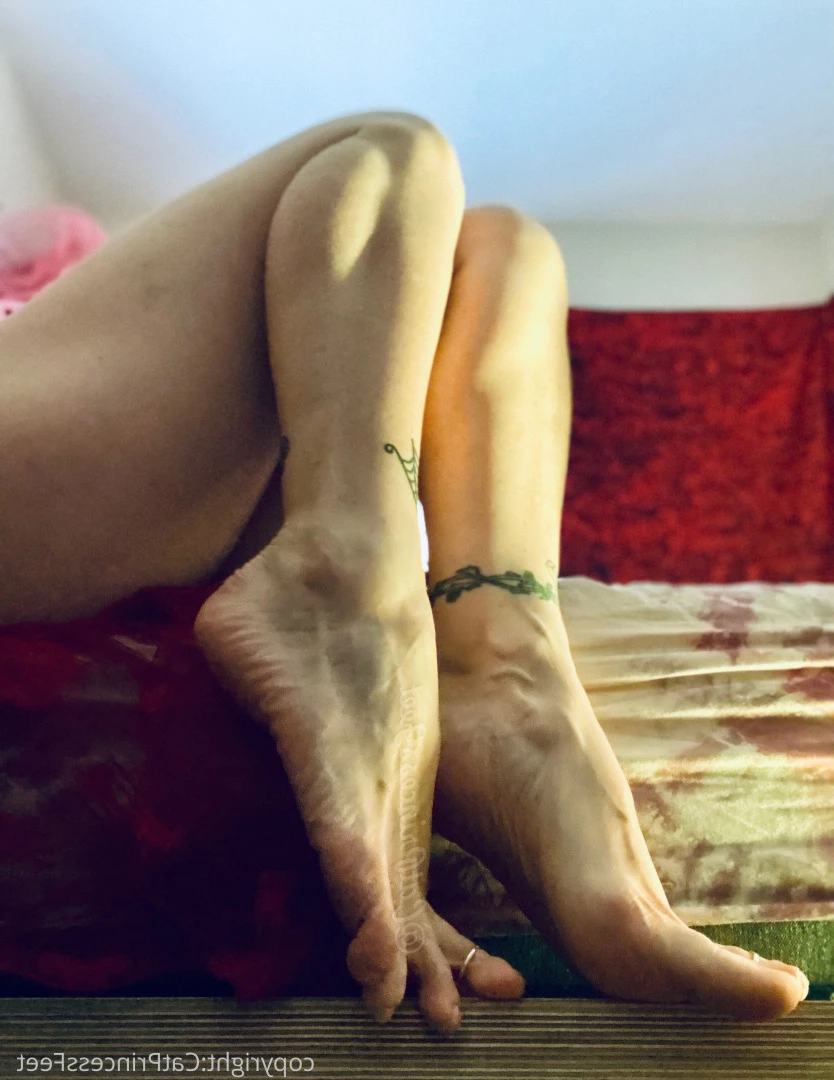 CatPrincess [ catprincessfeet ] Onlyfans leaked photo 7592754 on Hotleaks.tv