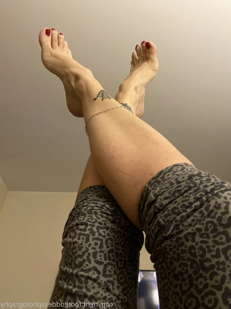 CatPrincess [ catprincessfeet ] Onlyfans leaked photo 7592914 on Hotleaks.tv