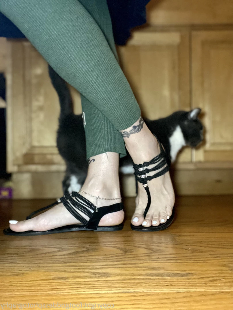 CatPrincess [ catprincessfeet ] Onlyfans leaked photo 7594056 on Hotleaks.tv