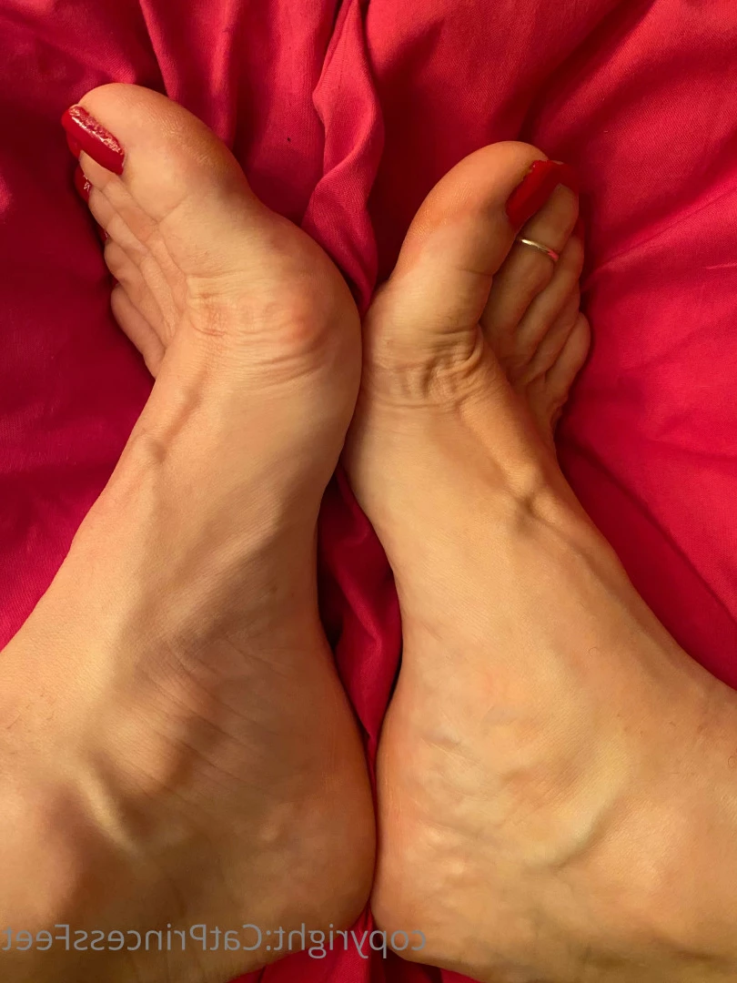 CatPrincess [ catprincessfeet ] Onlyfans leaked photo 7594666 on Hotleaks.tv