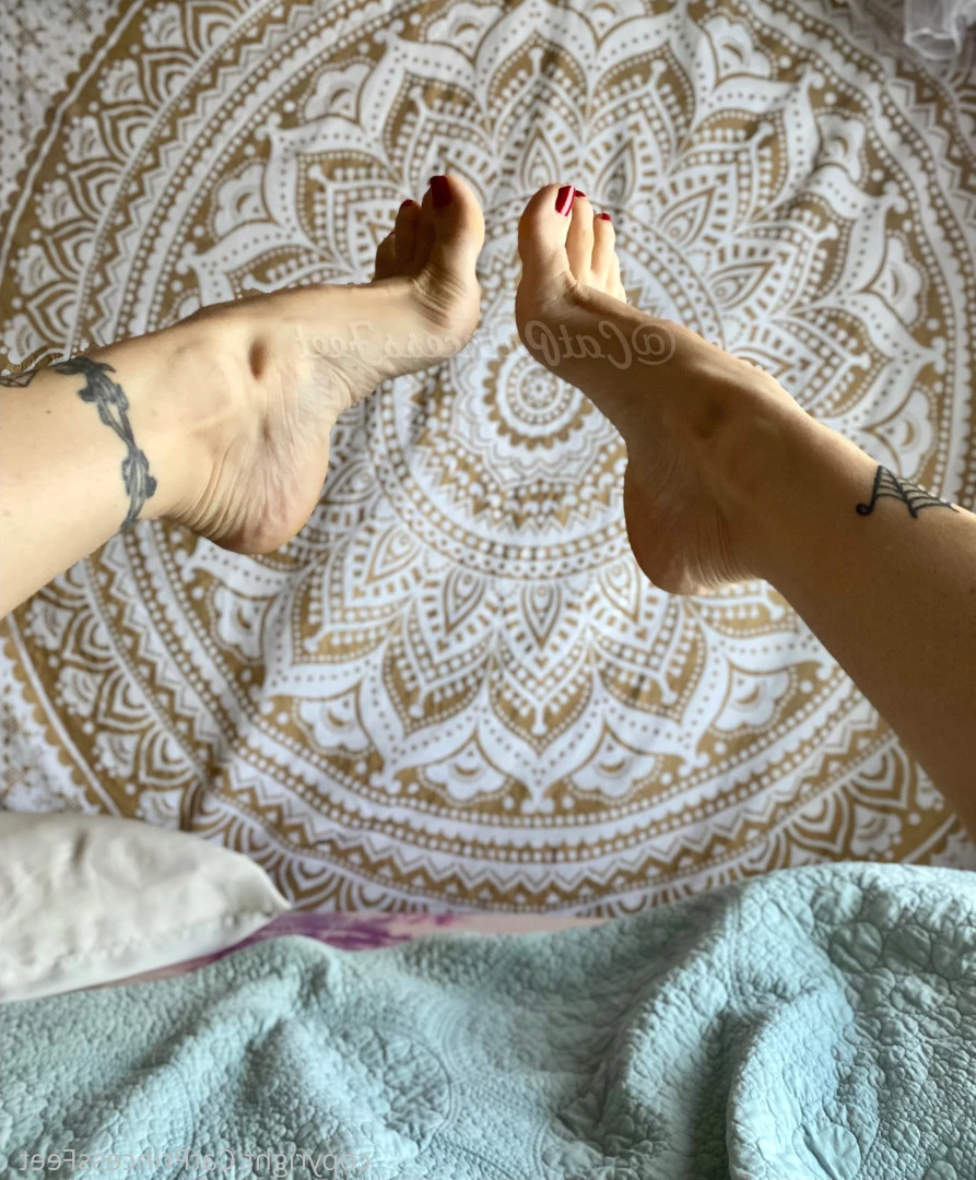 CatPrincess [ catprincessfeet ] Onlyfans leaked photo 7595178 on Hotleaks.tv