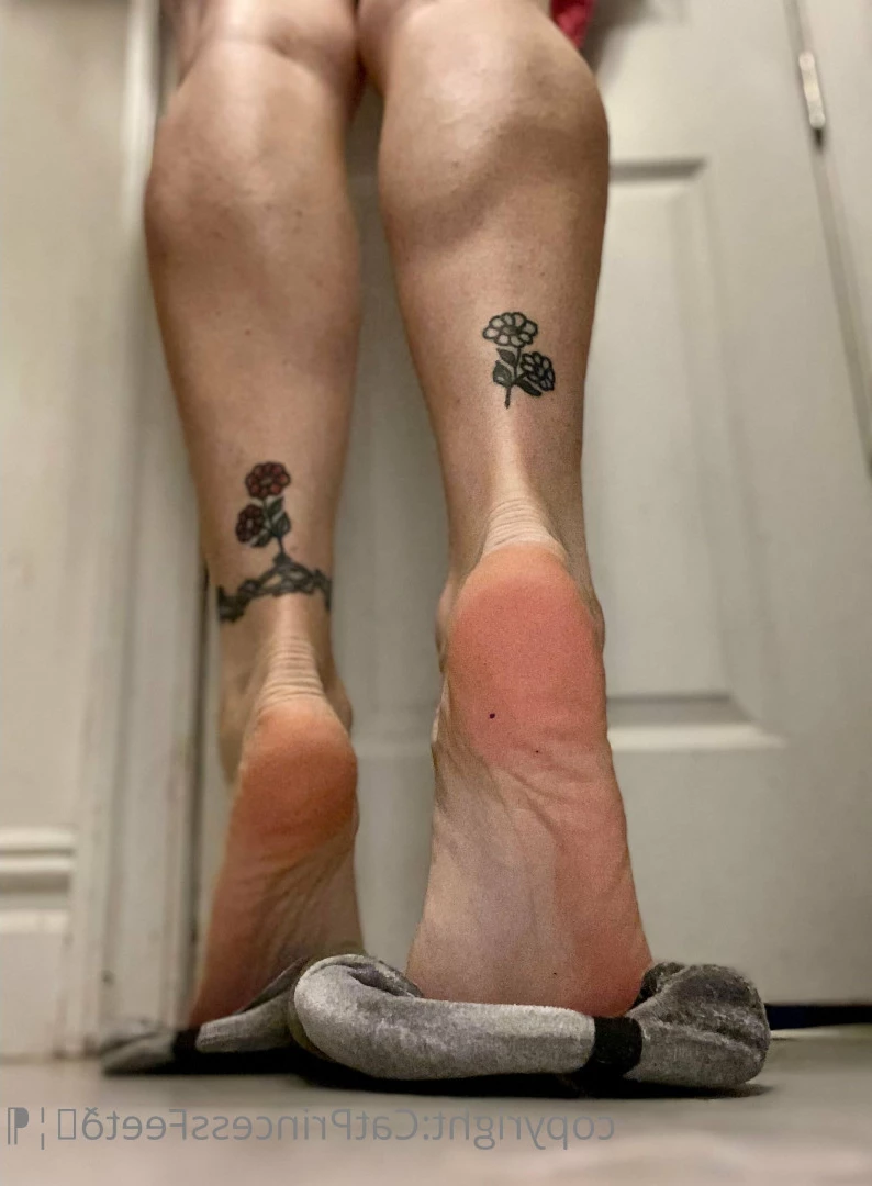 CatPrincess [ catprincessfeet ] Onlyfans leaked photo 7595751 on Hotleaks.tv