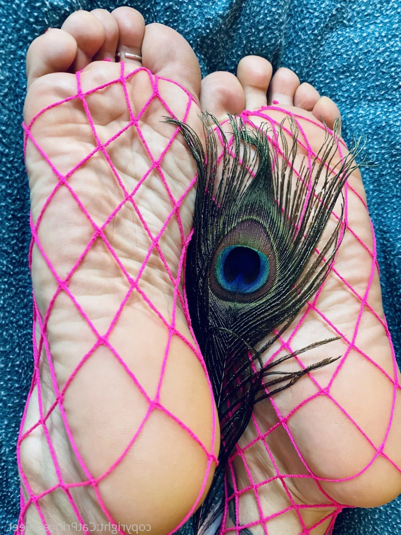 CatPrincess [ catprincessfeet ] Onlyfans leaked photo 7595838 on Hotleaks.tv