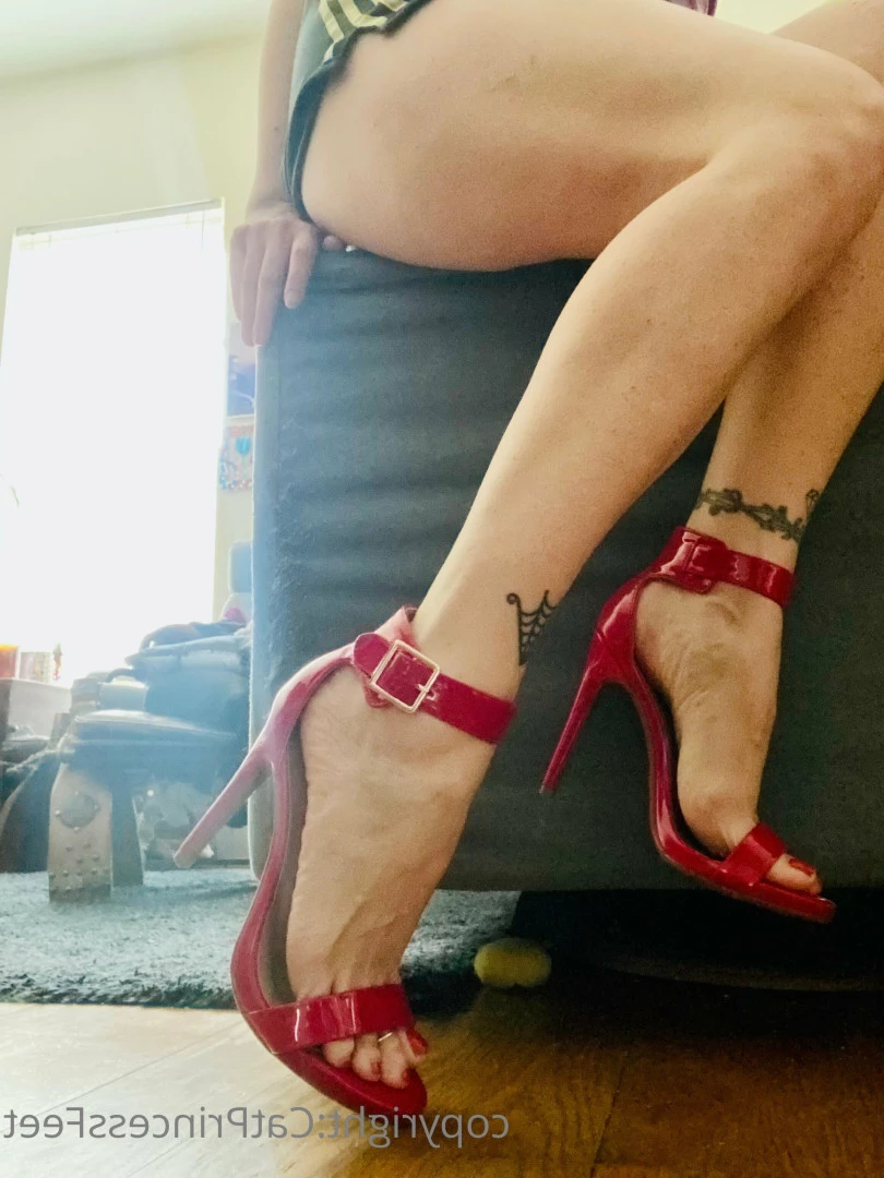 CatPrincess [ catprincessfeet ] Onlyfans leaked photo 7596779 on Hotleaks.tv