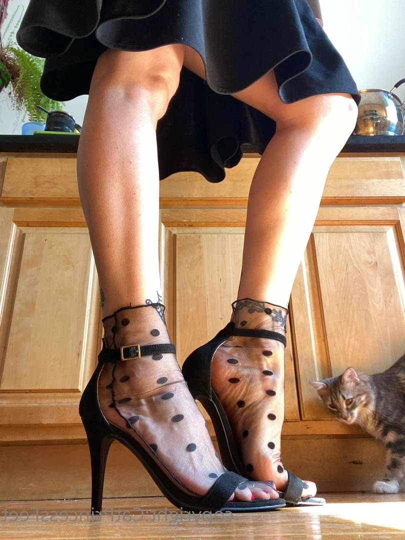 CatPrincess [ catprincessfeet ] Onlyfans leaked photo 7596879 on Hotleaks.tv