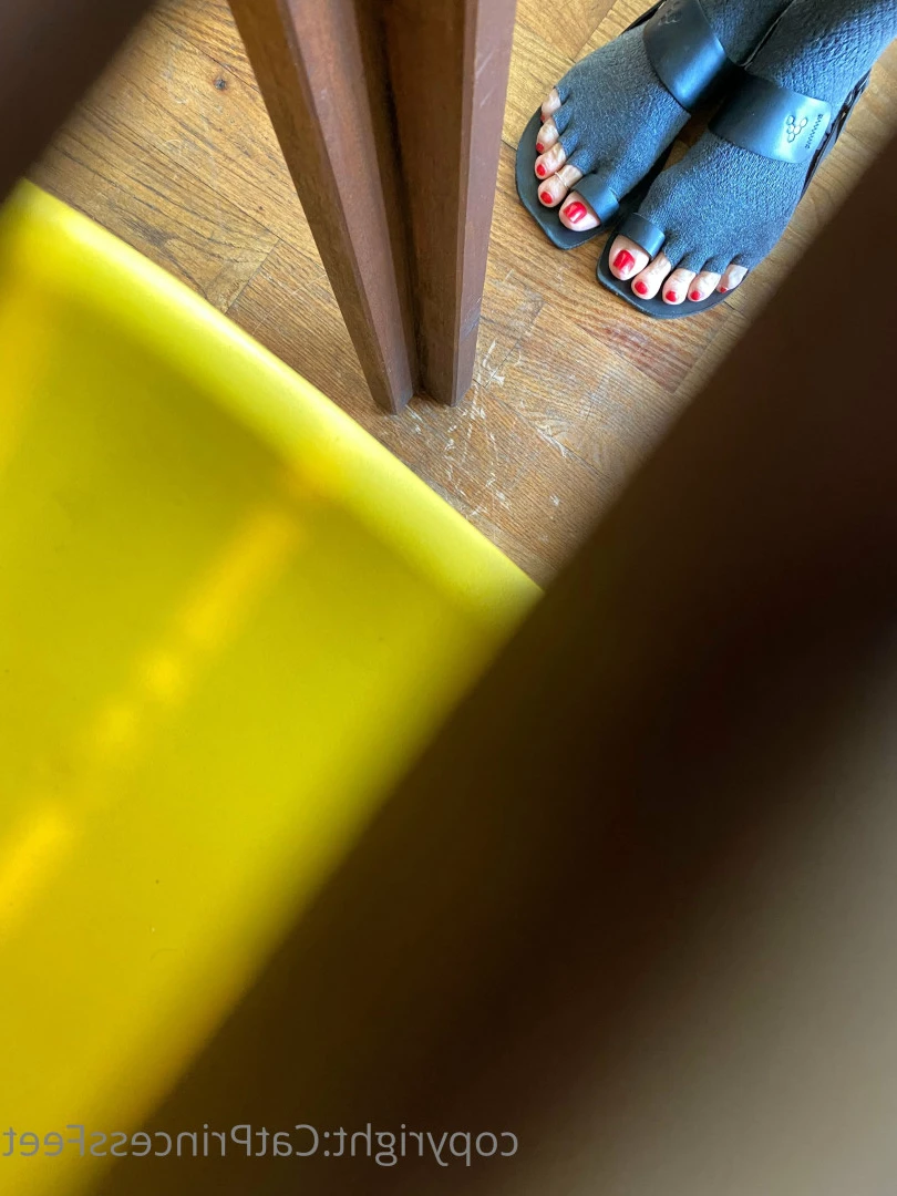 CatPrincess [ catprincessfeet ] Onlyfans leaked photo 7597229 on Hotleaks.tv