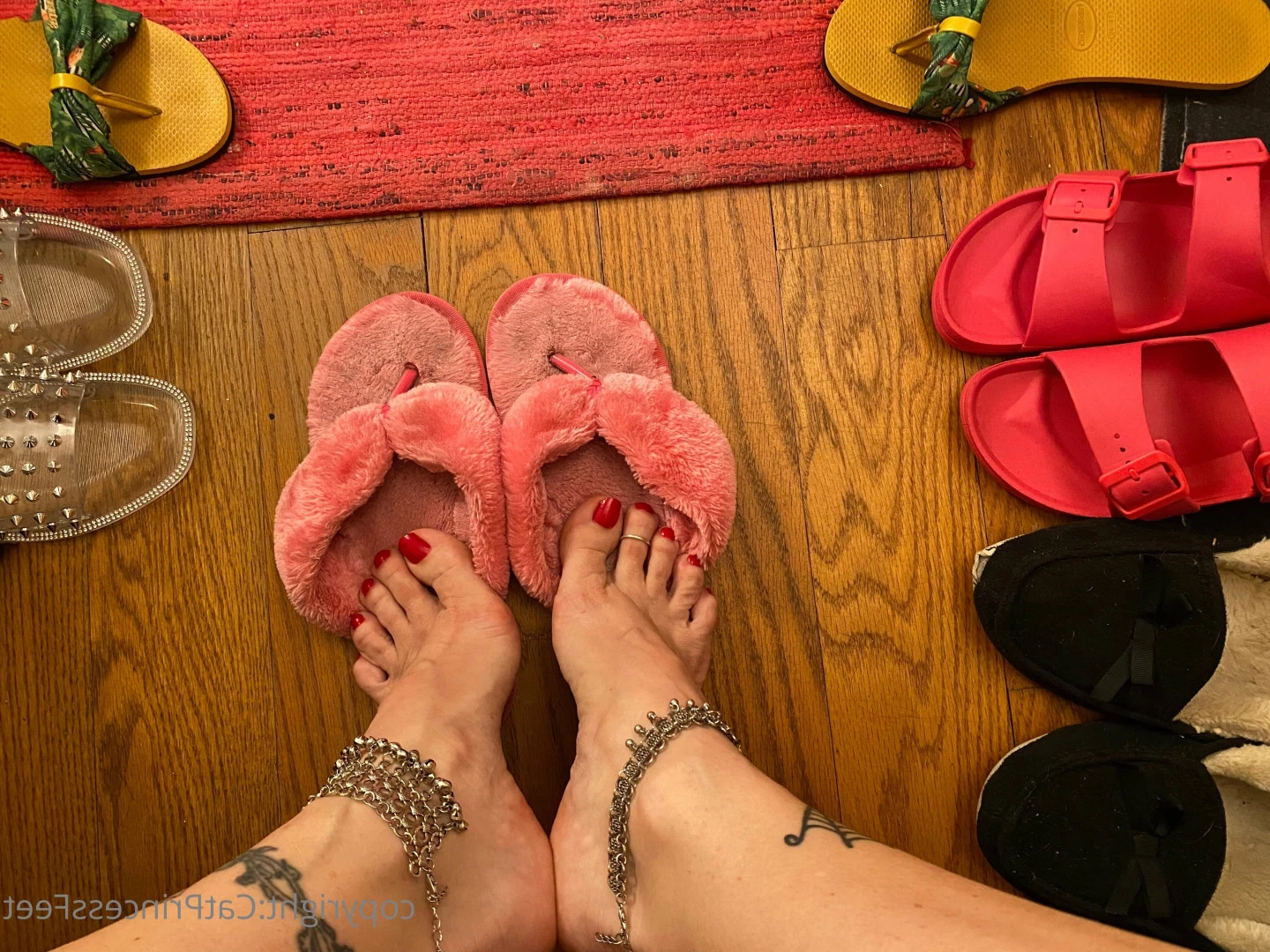 CatPrincess [ catprincessfeet ] Onlyfans leaked photo 7597370 on Hotleaks.tv