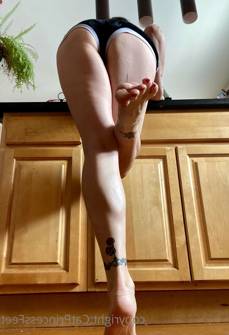 CatPrincess [ catprincessfeet ] Onlyfans leaked photo 7597806 on Hotleaks.tv