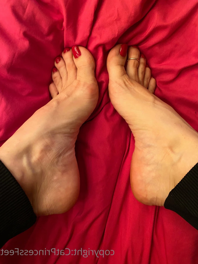 CatPrincess [ catprincessfeet ] Onlyfans leaked photo 7598401 on Hotleaks.tv
