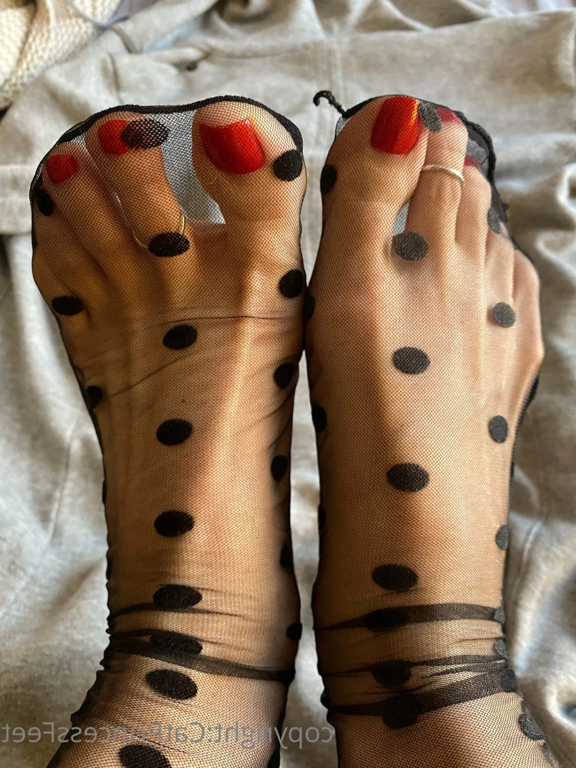 CatPrincess [ catprincessfeet ] Onlyfans leaked photo 7598858 on Hotleaks.tv