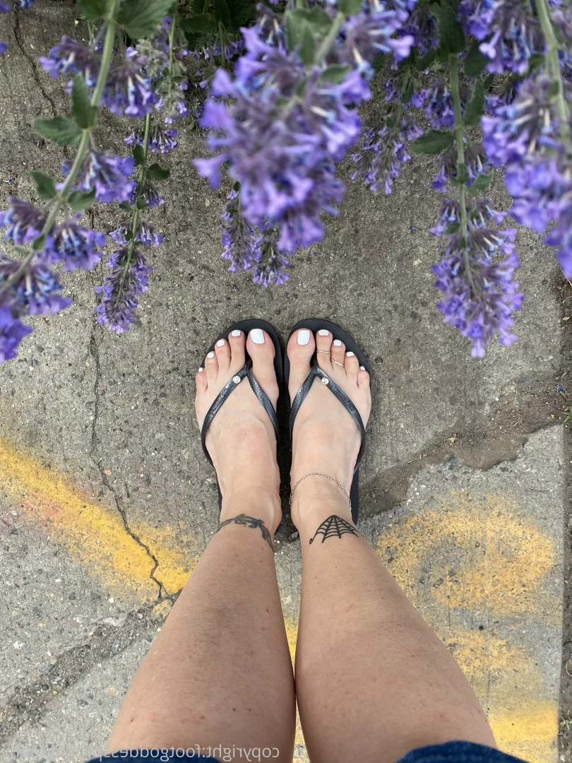CatPrincess [ catprincessfeet ] Onlyfans leaked photo 7599037 on Hotleaks.tv