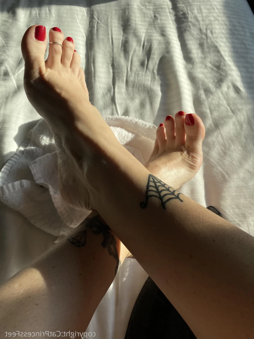 CatPrincess [ catprincessfeet ] Onlyfans leaked photo 7599241 on Hotleaks.tv