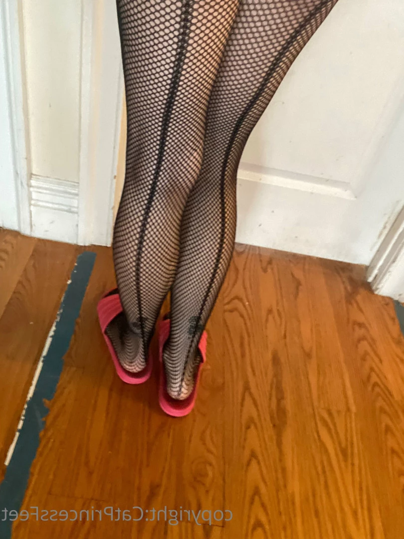 CatPrincess [ catprincessfeet ] Onlyfans leaked photo 7599376 on Hotleaks.tv