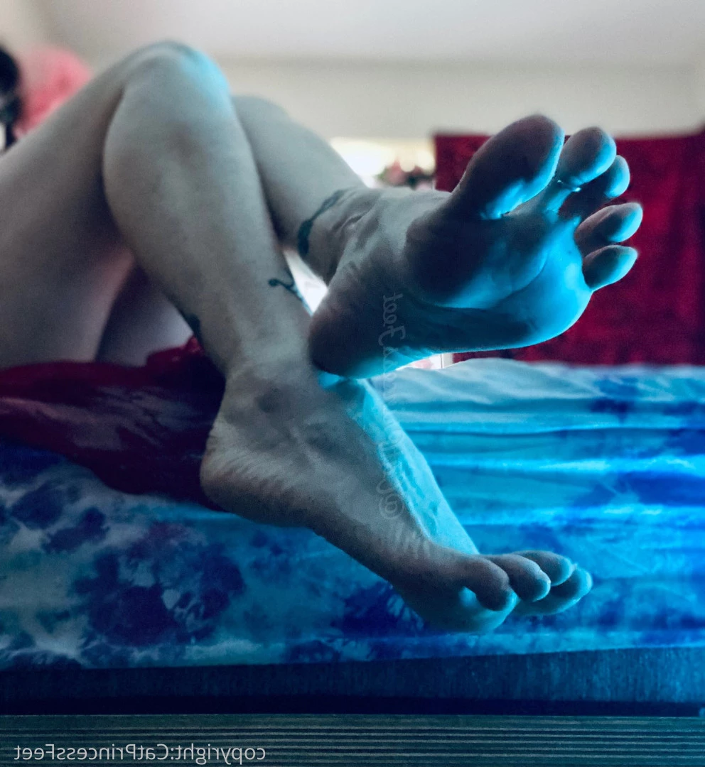 CatPrincess [ catprincessfeet ] Onlyfans leaked photo 7599551 on Hotleaks.tv