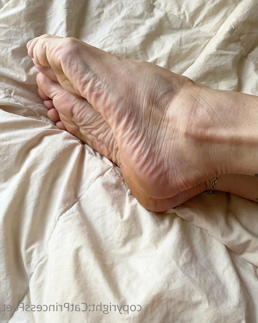CatPrincess [ catprincessfeet ] Onlyfans leaked photo 7599735 on Hotleaks.tv