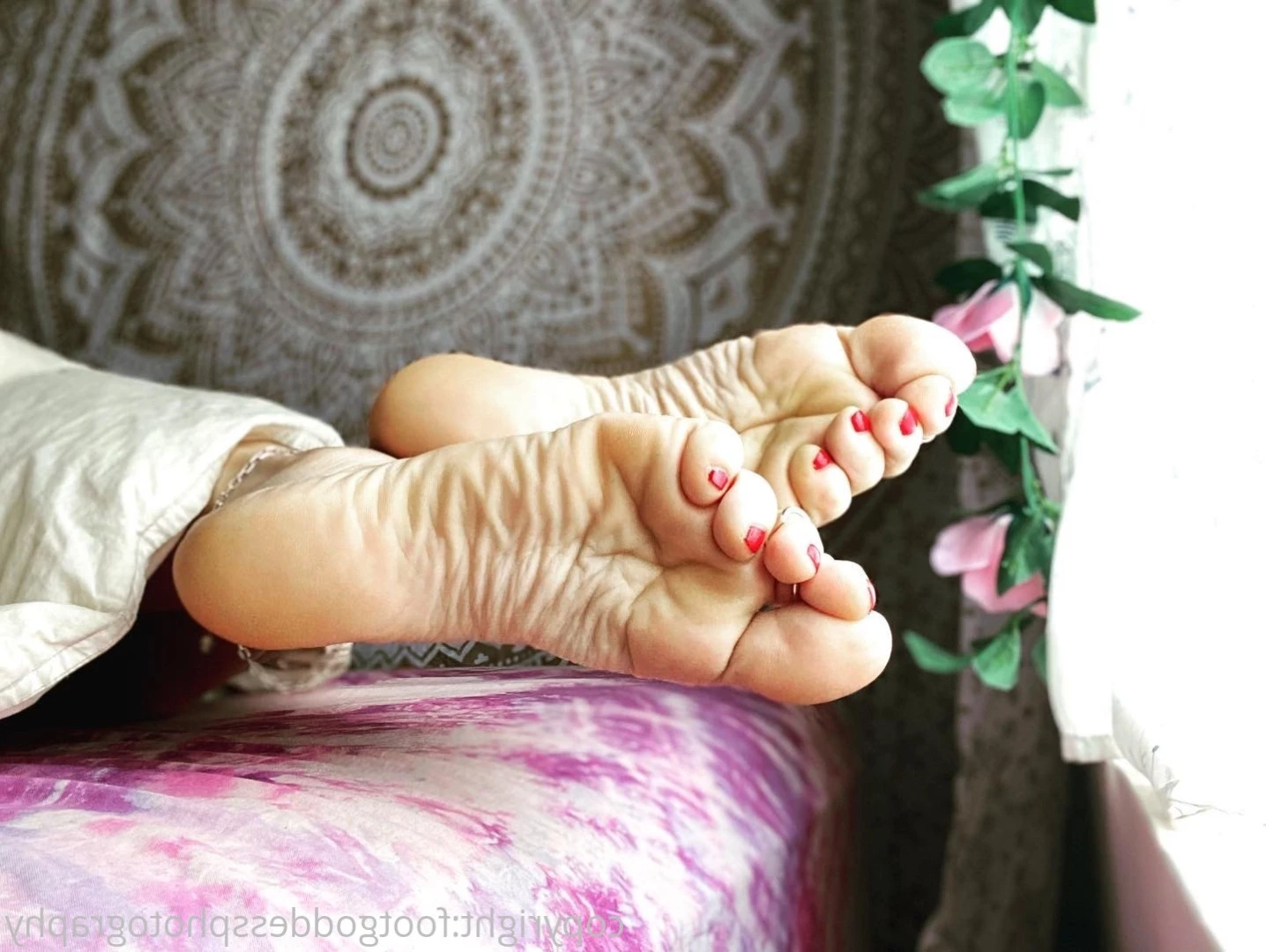 CatPrincess [ catprincessfeet ] Onlyfans leaked photo 7599758 on Hotleaks.tv
