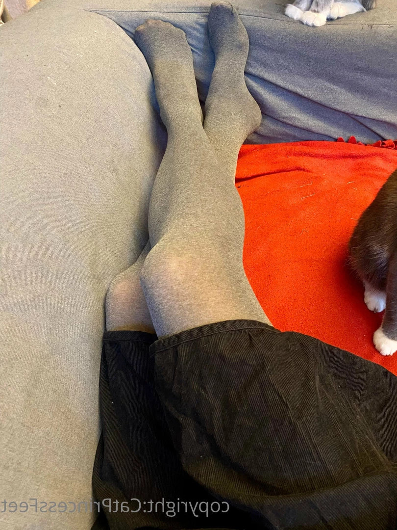 CatPrincess [ catprincessfeet ] Onlyfans leaked photo 7599785 on Hotleaks.tv
