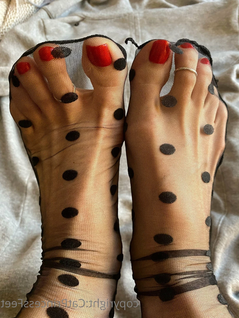 CatPrincess [ catprincessfeet ] Onlyfans leaked photo 7599886 on Hotleaks.tv