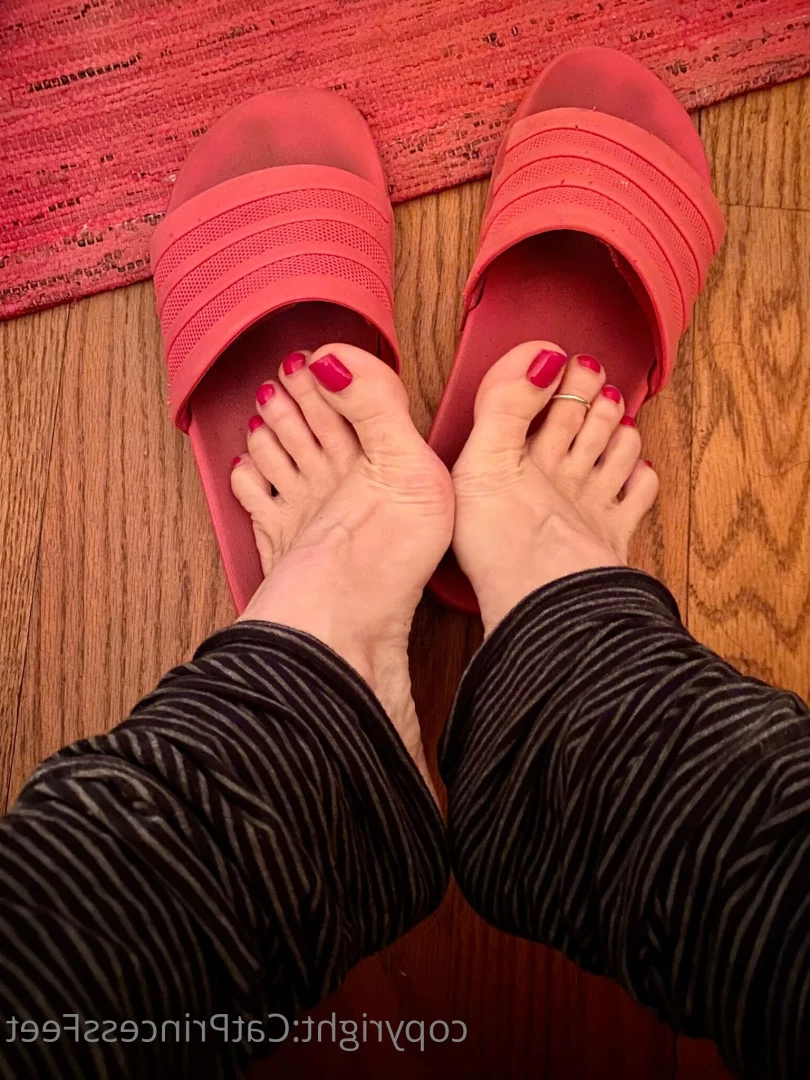 CatPrincess [ catprincessfeet ] Onlyfans leaked photo 7599929 on Hotleaks.tv