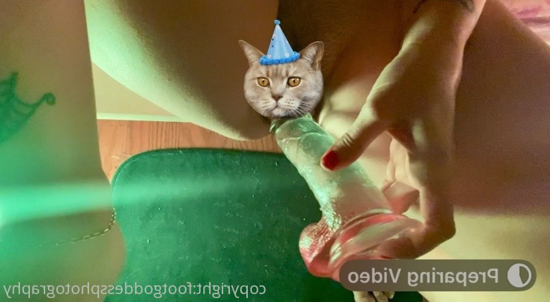 CatPrincess [ catprincessfeet ] Onlyfans leaked photo 7600299 on Hotleaks.tv