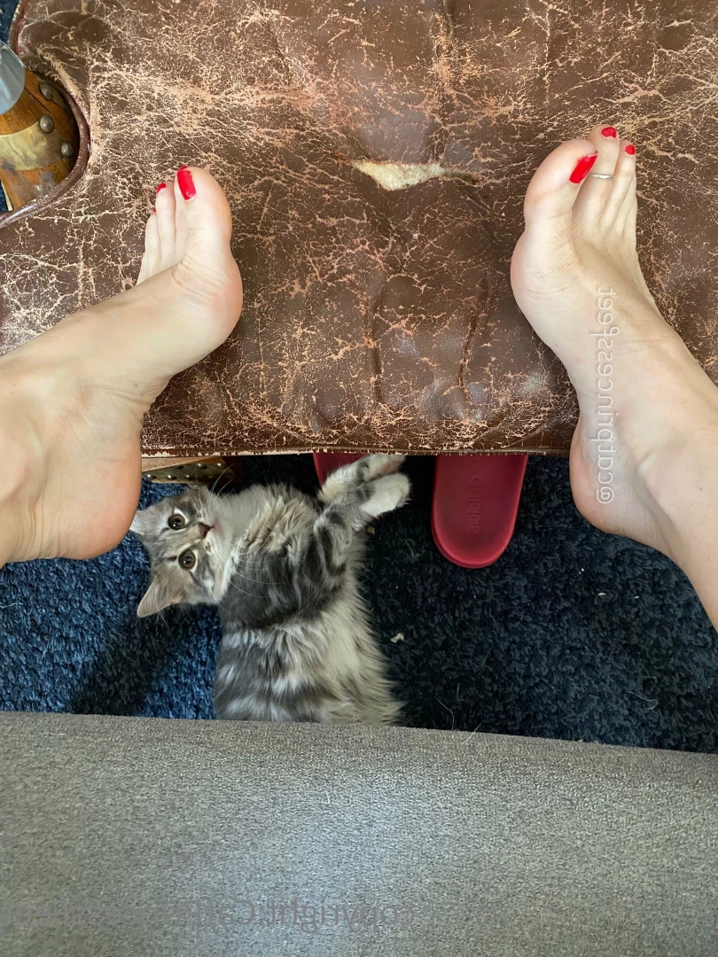 CatPrincess [ catprincessfeet ] Onlyfans leaked photo 7601100 on Hotleaks.tv