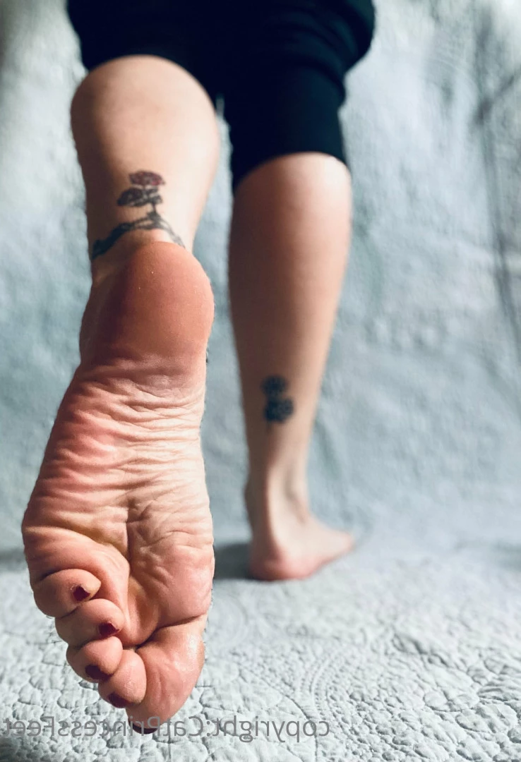 CatPrincess [ catprincessfeet ] Onlyfans leaked photo 7601308 on Hotleaks.tv
