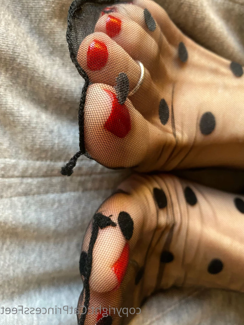 CatPrincess [ catprincessfeet ] Onlyfans leaked photo 7602128 on Hotleaks.tv