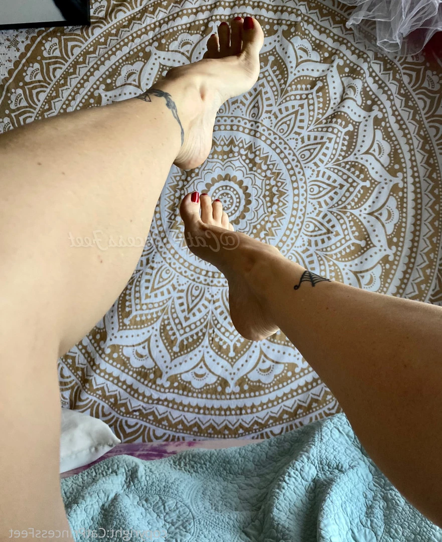CatPrincess [ catprincessfeet ] Onlyfans leaked photo 7602175 on Hotleaks.tv