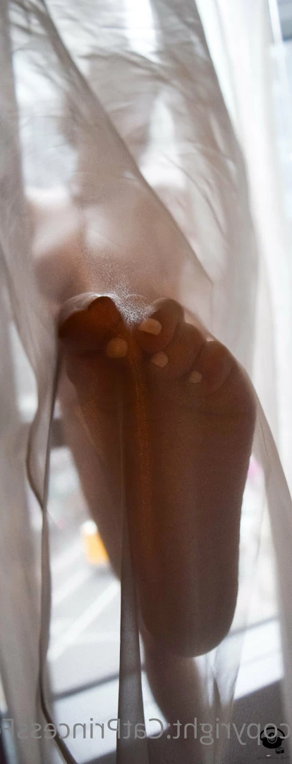 CatPrincess [ catprincessfeet ] Onlyfans leaked photo 7602452 on Hotleaks.tv