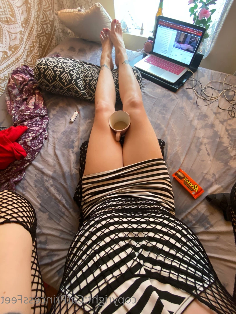 CatPrincess [ catprincessfeet ] Onlyfans leaked photo 7603299 on Hotleaks.tv