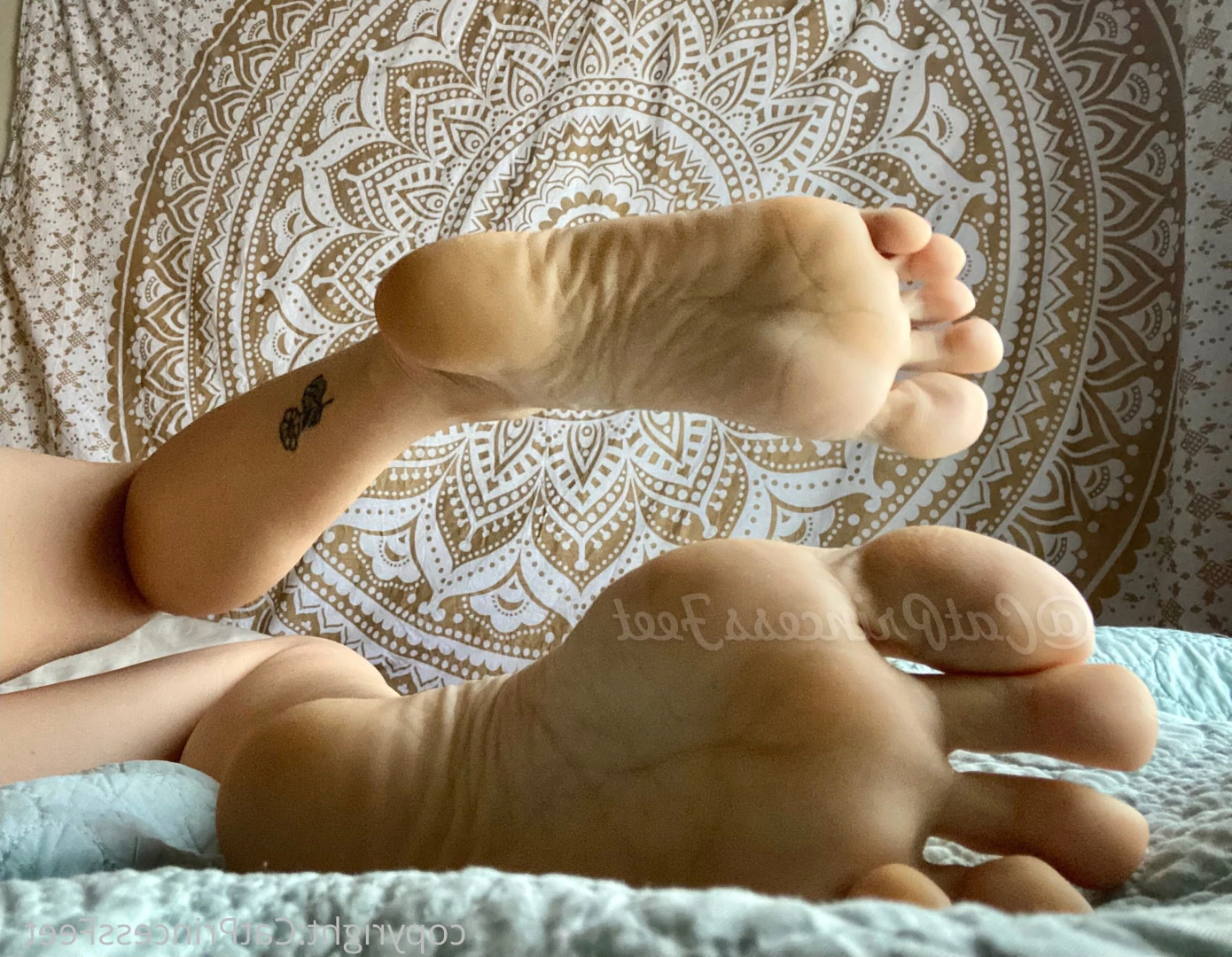 CatPrincess [ catprincessfeet ] Onlyfans leaked photo 7604190 on Hotleaks.tv