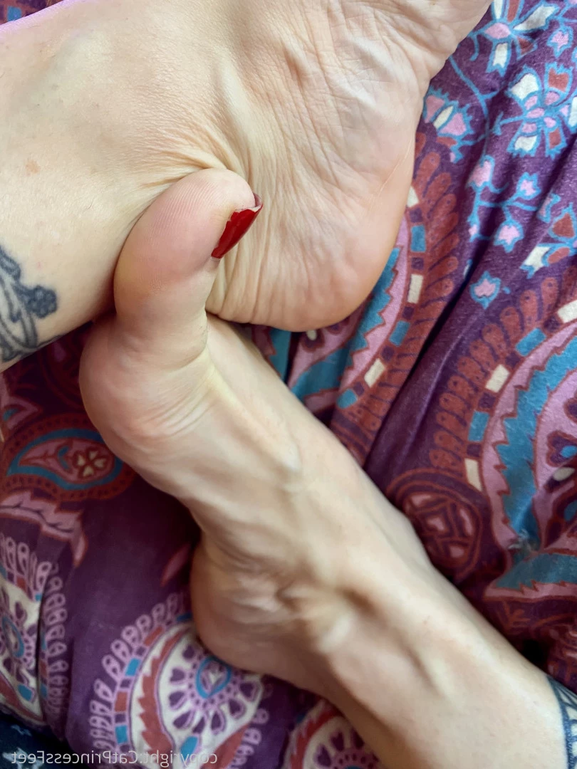 CatPrincess [ catprincessfeet ] Onlyfans leaked photo 7604265 on Hotleaks.tv
