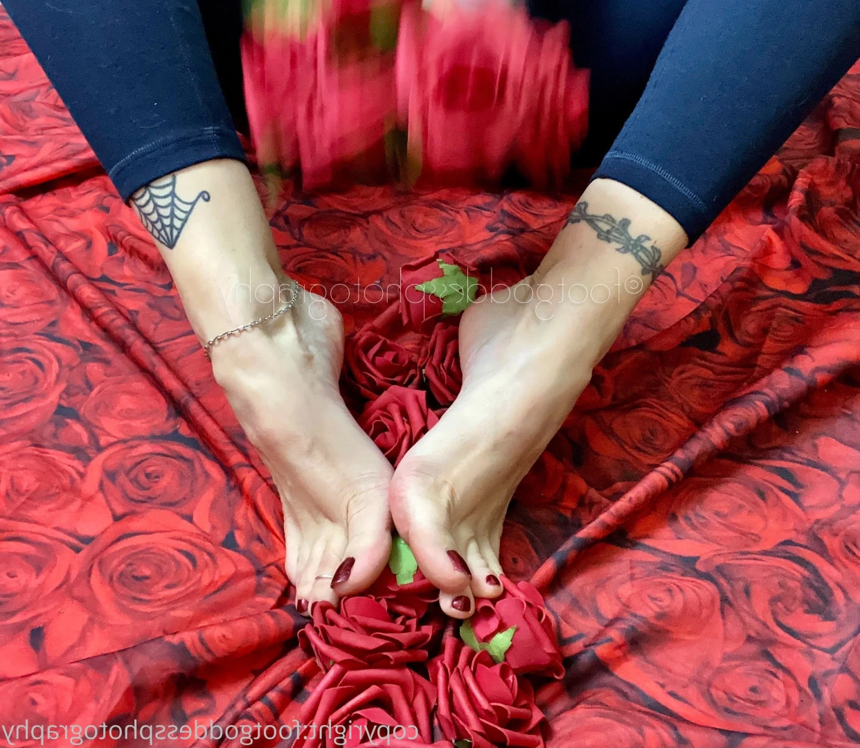 CatPrincess [ catprincessfeet ] Onlyfans leaked photo 7604798 on Hotleaks.tv