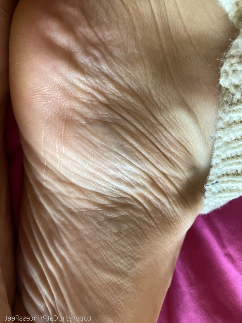CatPrincess [ catprincessfeet ] Onlyfans leaked photo 7604806 on Hotleaks.tv