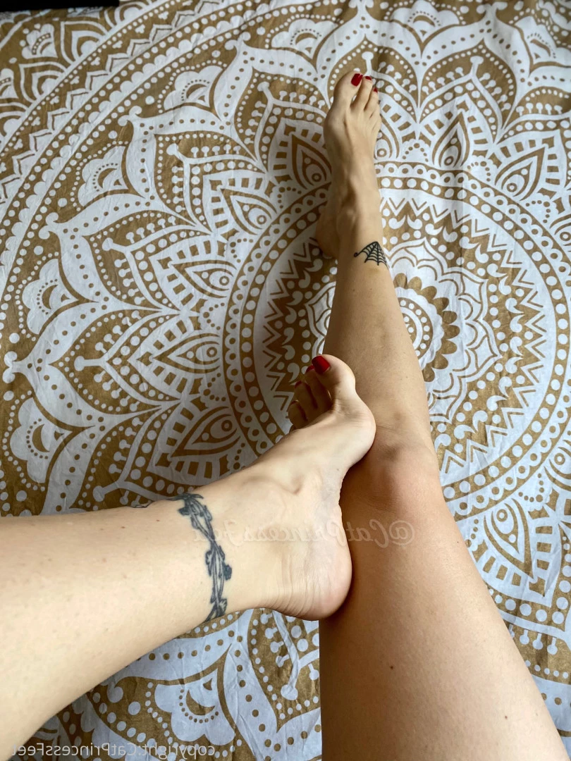 CatPrincess [ catprincessfeet ] Onlyfans leaked photo 7604921 on Hotleaks.tv