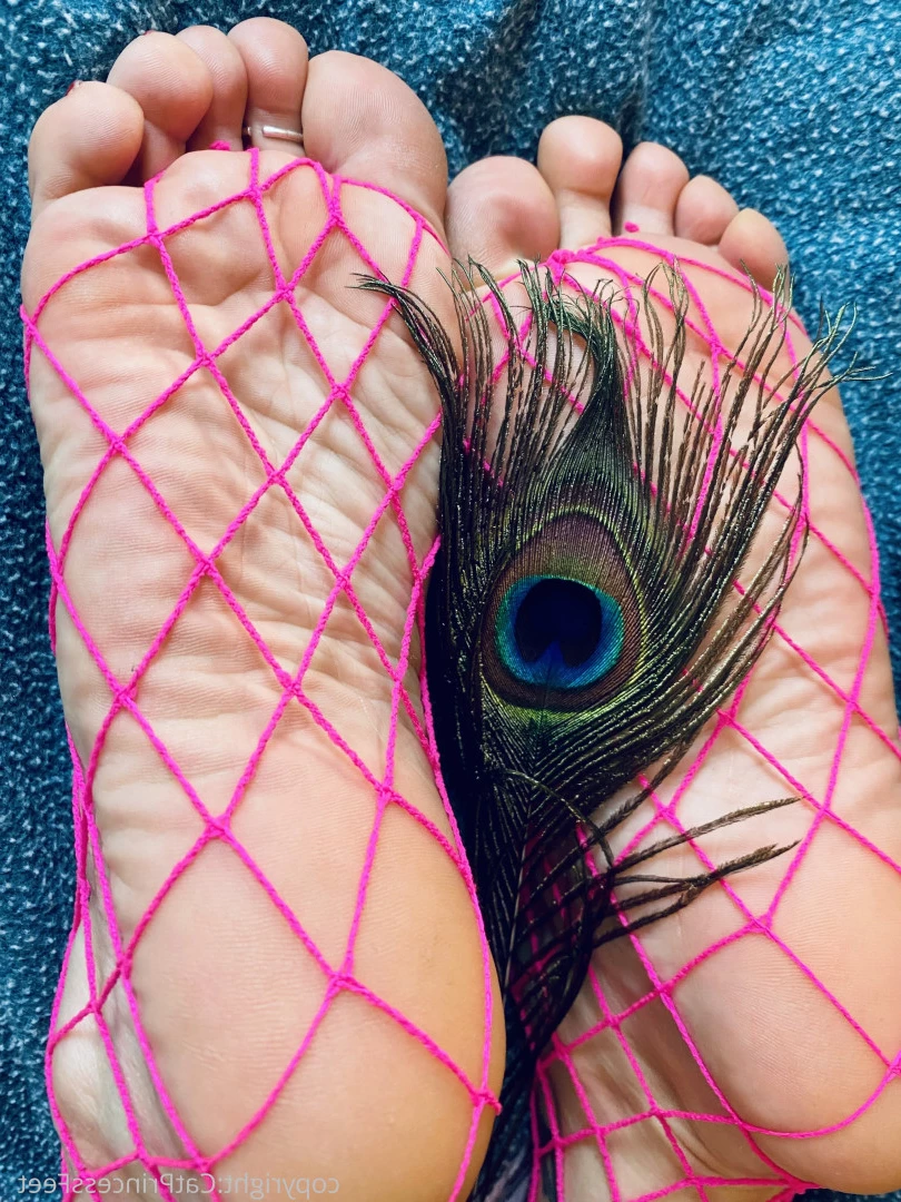 CatPrincess [ catprincessfeet ] Onlyfans leaked photo 7605352 on Hotleaks.tv